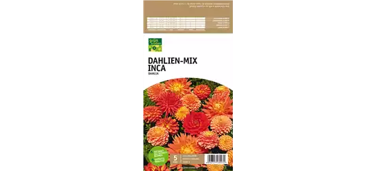 Dahlien-Mix Inca