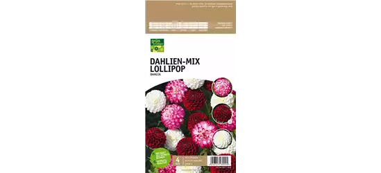 Dahlien-Mix Lollipop