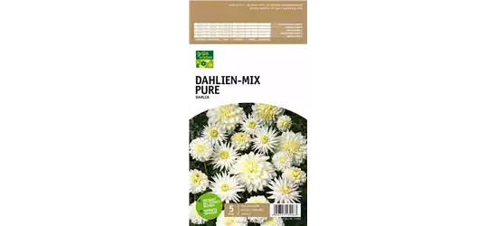 Dahlien-Mix Pure