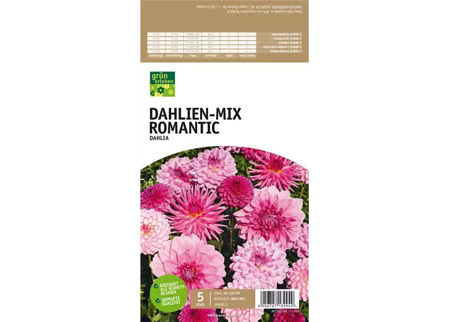 Dahlien-Mix Romantic