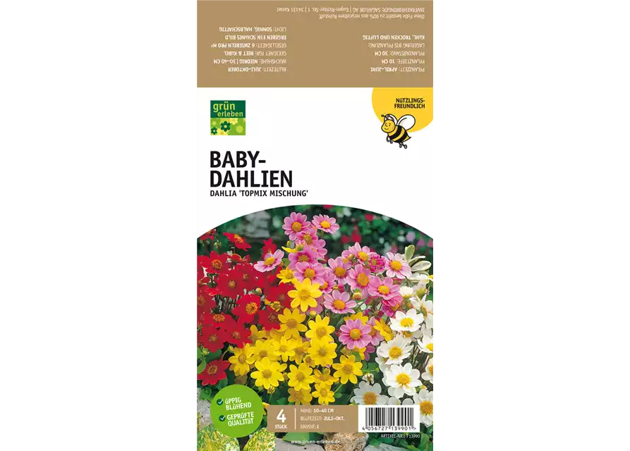 Bienenfreundliche Baby-Dahlien