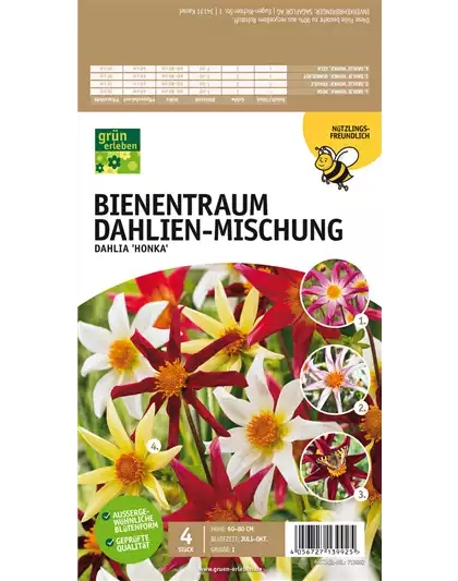 Bienentraum Dahlien-Mischung